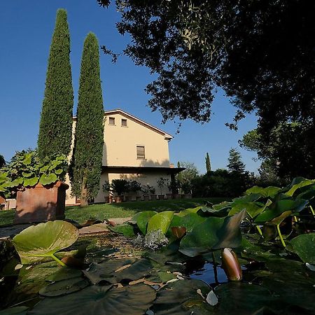 Agriturismo Le Vallette Биббона Экстерьер фото