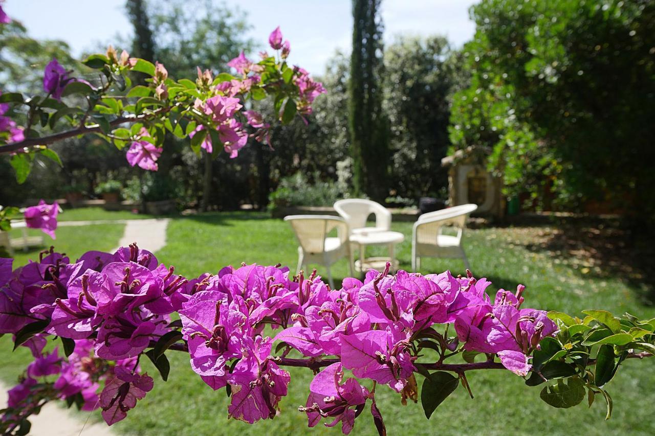 Agriturismo Le Vallette Биббона Экстерьер фото