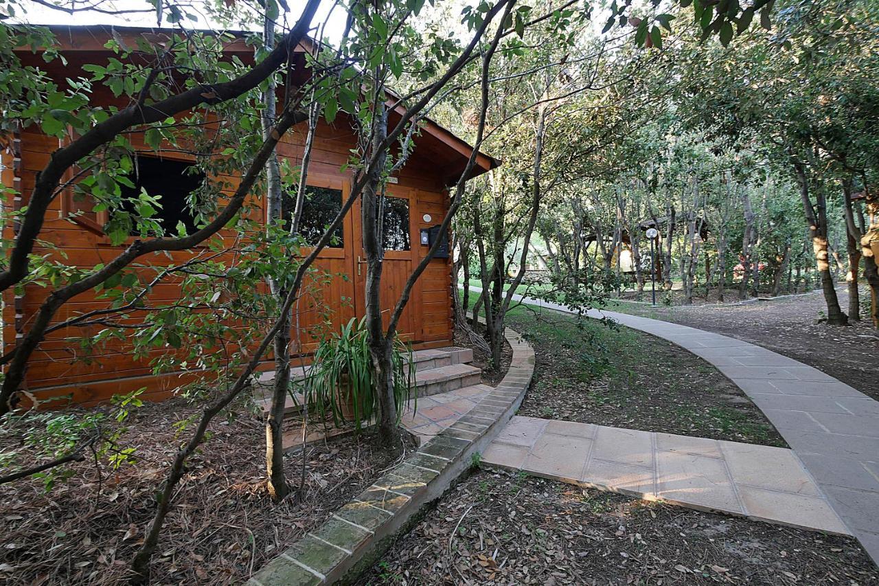 Agriturismo Le Vallette Биббона Экстерьер фото
